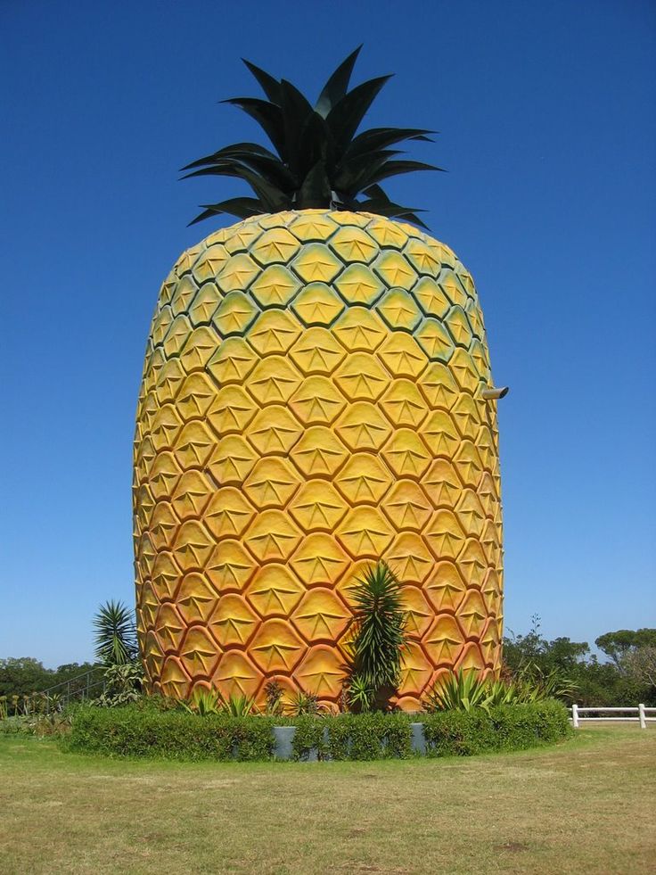 21 Reasons you should Never visit South Africa