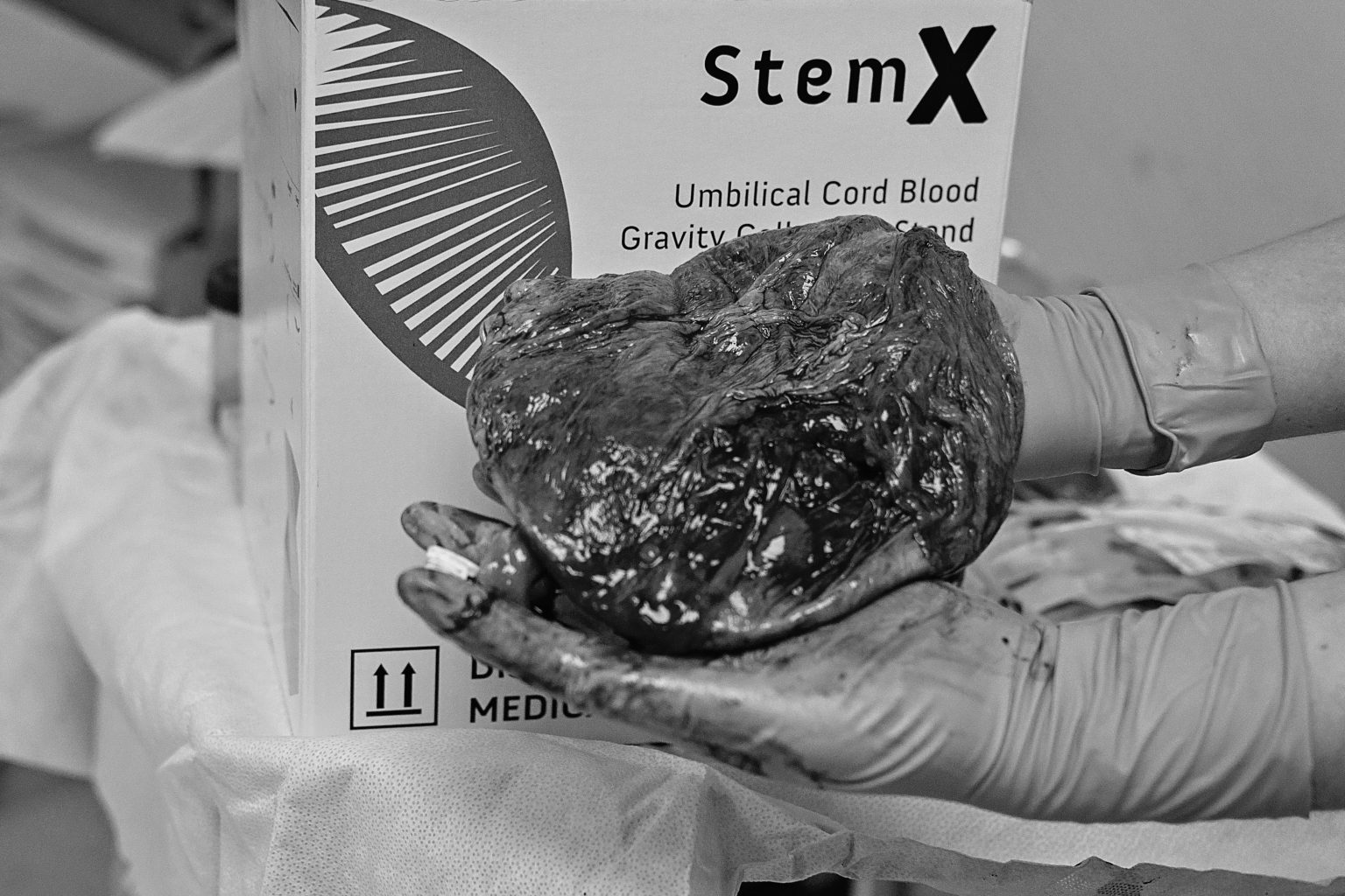 stem cell storage