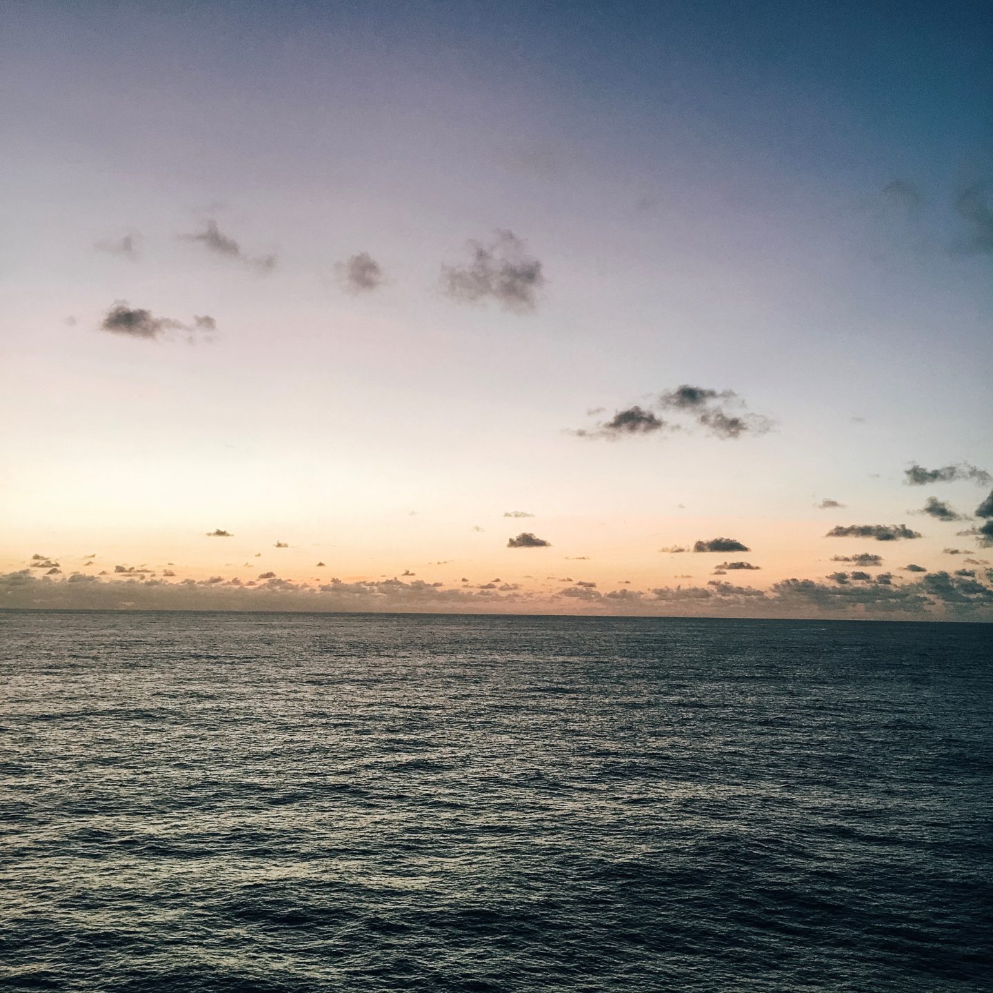 cruises