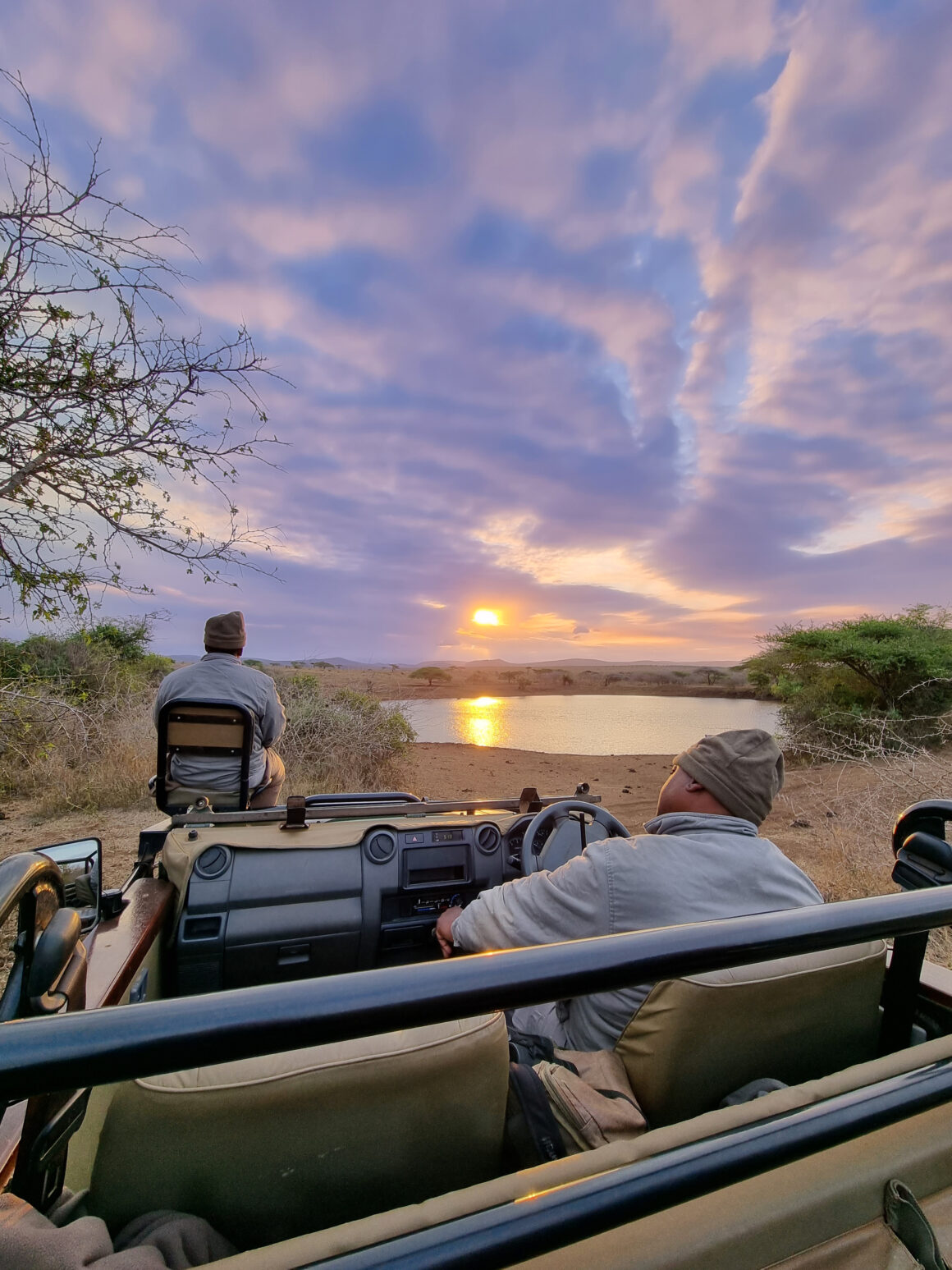 thanda safari